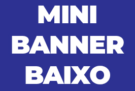 MINI 1